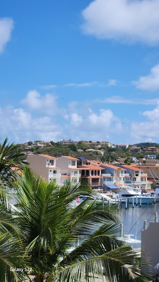 views from one of the guest rooms
