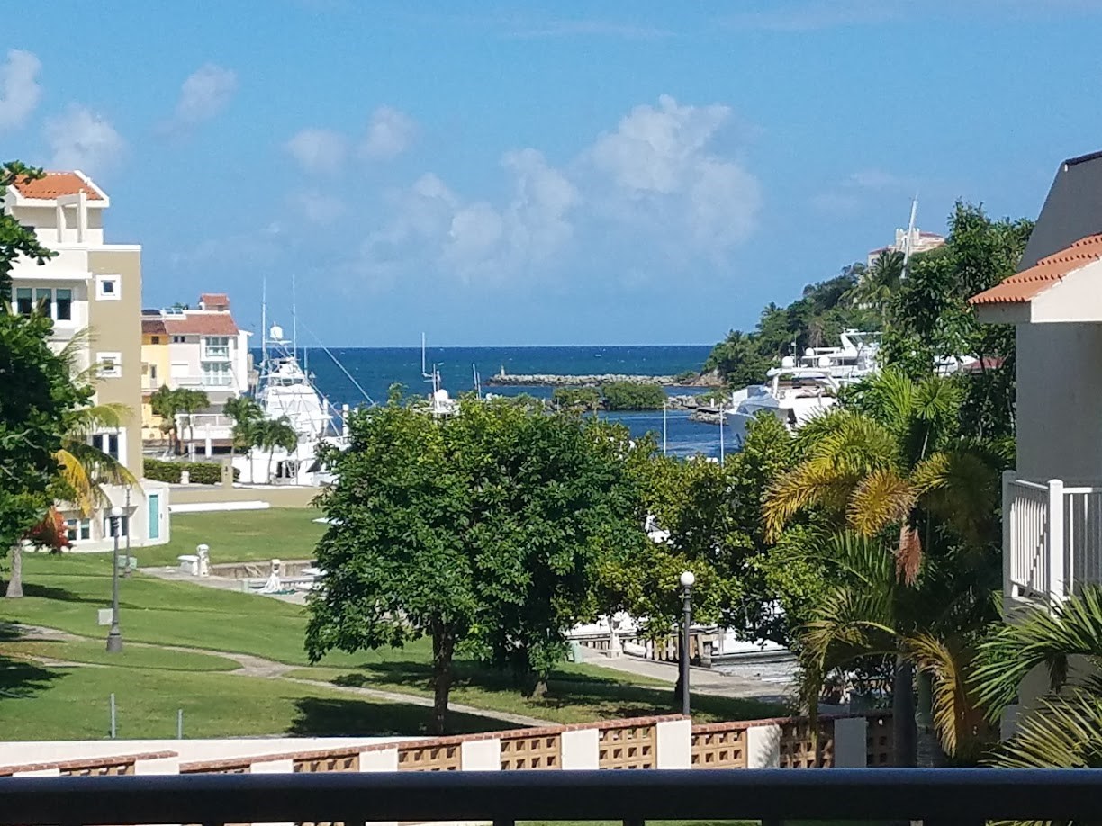   Harbour Drive 201F
