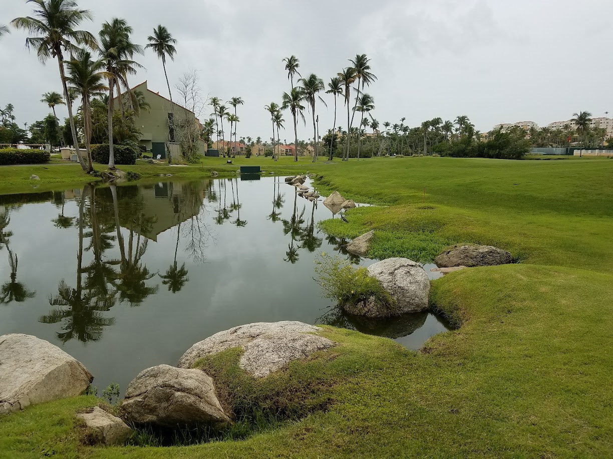 the resort community of palmas del mar offers security, tranquility and a way of life.  views to beach village from one of our ponds.