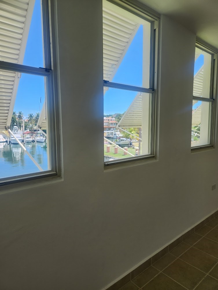 views from dining and family room